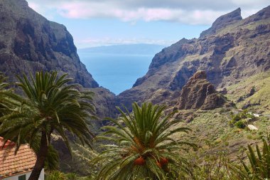 Görünüm Masca Köyü, Tenerife, Kanarya Adaları, İspanya