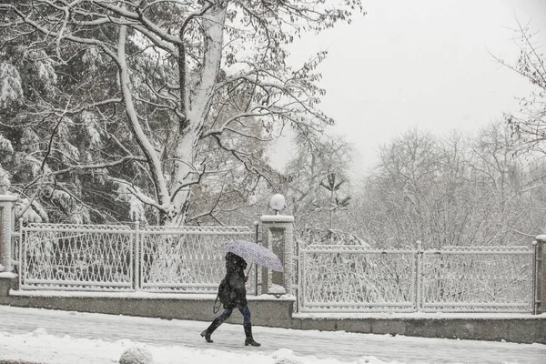 Kış City şemsiyesi altında yürüyen kadın
