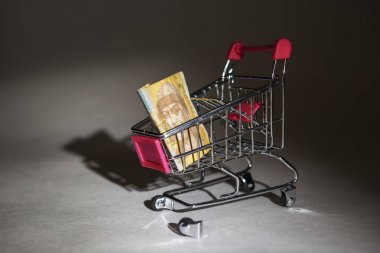 Kırık bir alışveriş arabası Ukraynalı hryvnia