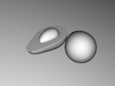 Avokado görüntüsü koyu bir arkaplanda. 3d Hazırlama