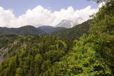 Doğa Abhazya dağlarında