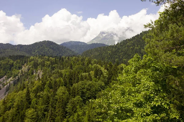 Doğa Abhazya dağlarında