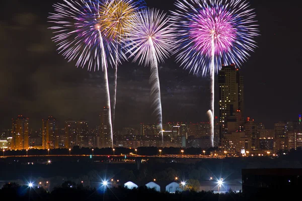 Strogino Moskova'da taşkın yatağının 