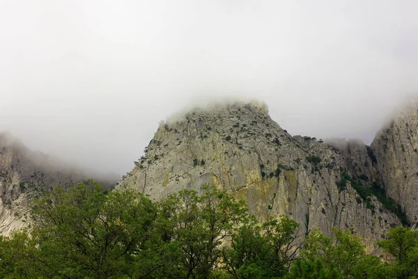 Nature of the city of Crimea at different times of the day  Photos taken from the Republic highway, summer 2018, trees, sky, nature