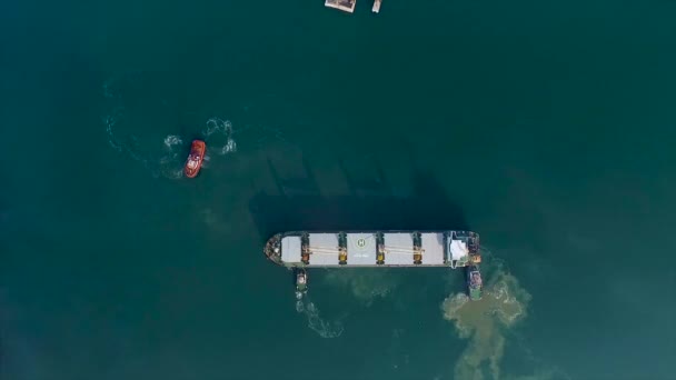 Schlepper schieben ein großes Frachtschiff mit Containern über eine große Wasserfläche. Blick von oben auf das Meer — Stockvideo