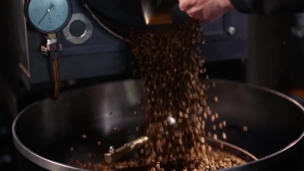 新鲜的烤咖啡豆放在冷却盘上，用旋转机械臂搅拌，然后倒空。混合了烤咖啡.烘烤的咖啡豆在搅拌机上按 — 图库视频影像