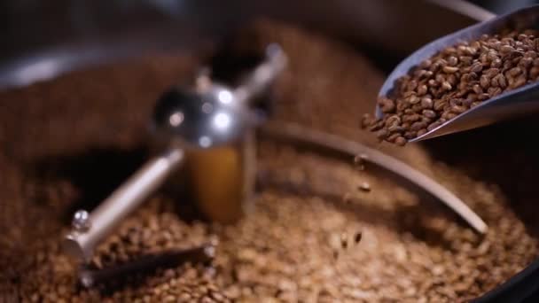 Sprinkle roasted coffee beans from the bucket into the cooling tray in the ground shot — Stock Video