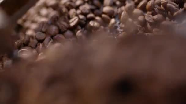 Close Up roasted coffee beans pattern of texture. Raw coffee slow Motion on rotating tray background. top view. — Stock Video