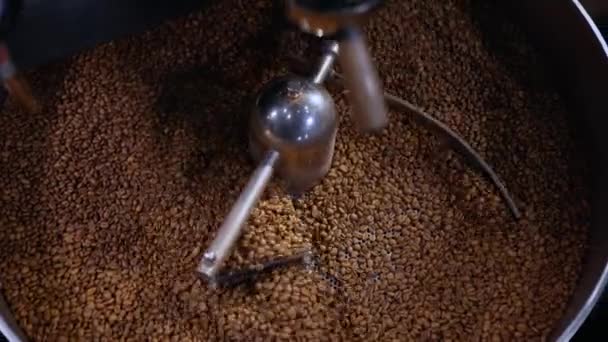 Produzione di caffè fritto fresco tostatura fagioli processo della fabbrica. Chicchi di caffè preparati mescolandosi intorno a su un piatto raffreddante di un forno. — Video Stock