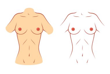 Female body silhouette front belly  clipart