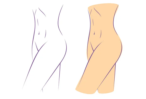 一个女人的大腿的密切剪影 — 图库矢量图片