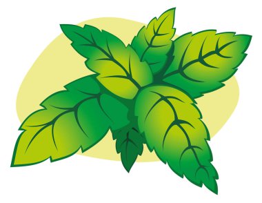 Çizimde dal nane yaprakları. Dekoratif ve doğal malzemeler için idealdir