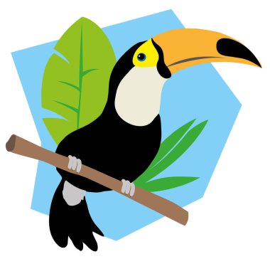 Brezilya faunası toucan kuş çizimi 