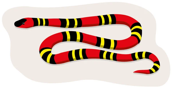 Serpent corail nature animale — Image vectorielle