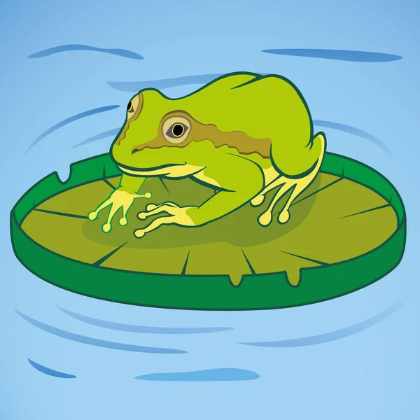 Εικονογράφηση του ένα βάτραχο σε μια regia Βικτώρια που επιπλέουν στο νερό. Ιδανικό για εκπαιδευτικά και πολιτιστικά υλικά — Διανυσματικό Αρχείο