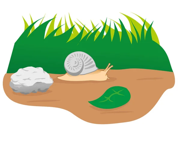 Illustration animal nature jardin escargot, mollusque. Idéal pour les catalogues et le matériel éducatif — Image vectorielle