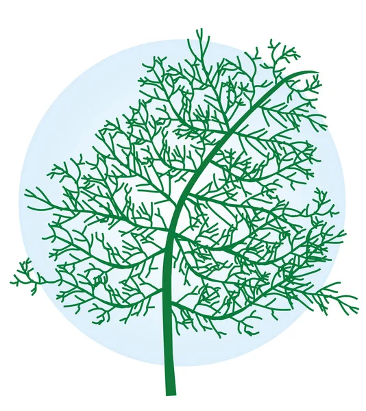 Herb sweet botanic nature — Stock Vector