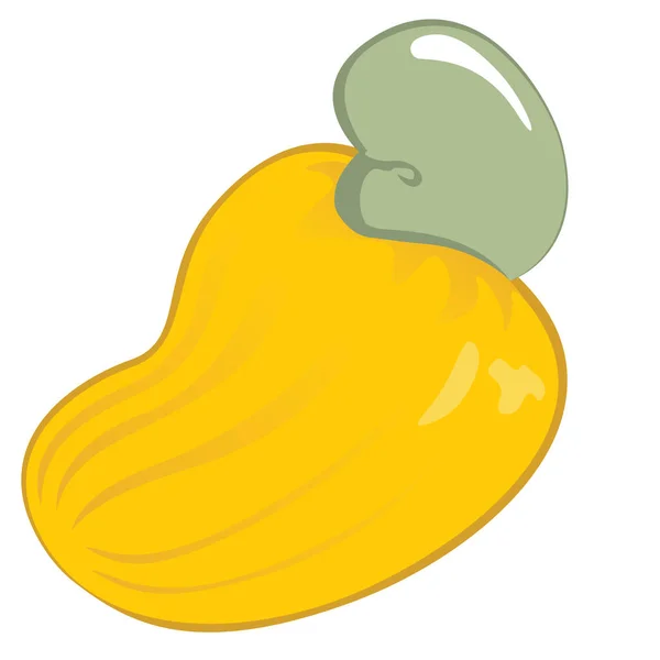 Ilustración de un icono de la fruta del anacardo. Ideal para materiales educativos e institucionales — Vector de stock