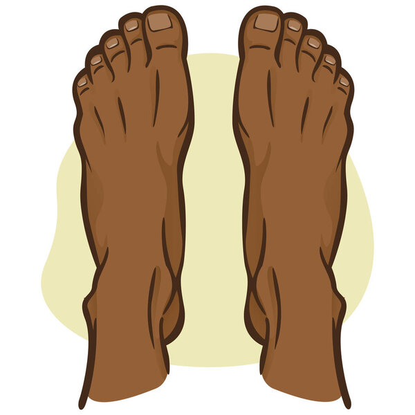 Illustration person, pair of human feet, afro descending, top view. Ideal for catalogs, informational and institutional guides
