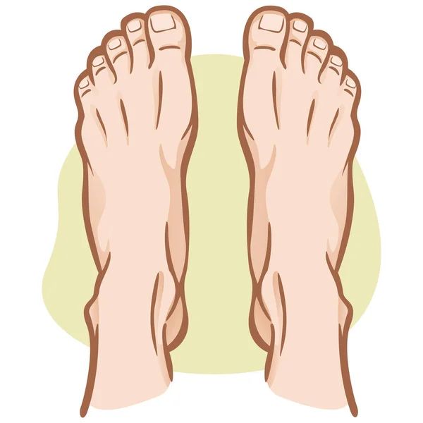 Illustration person, pair of human feet, Caucasian, top view. Ideal for catalogs, informational and institutional guides — Stock Vector