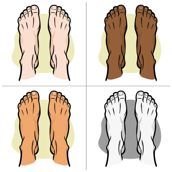 Illustration person, pair of human feet, ethnic, top view. Ideal for catalogs, informational and institutional guides — Stock Vector
