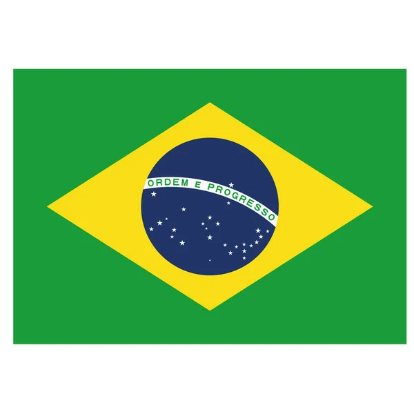 巴西的例证旗子 理想的机构材料和地理目录 — 图库矢量图片