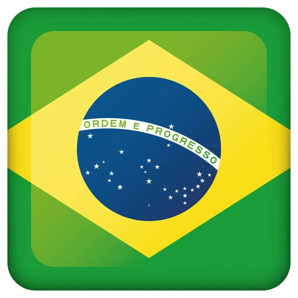 Icon Representing Square Button Flag Brazil Ideal Catalogs Institutional Materials — Stock Vector