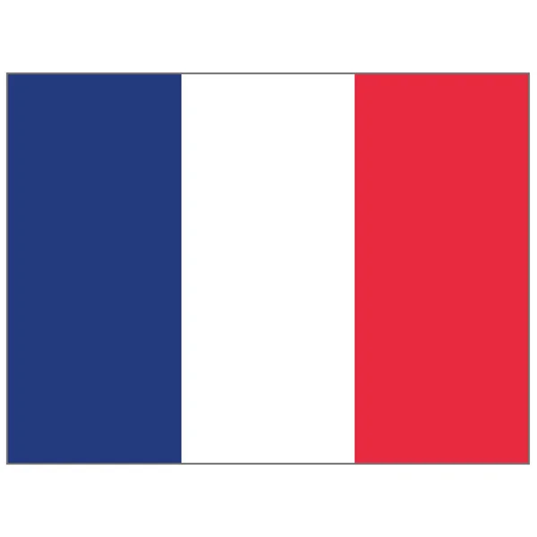 Fransa Bayrağı Illüstrasyon Kurumsal Malzemeleri Coğrafya Kataloglar Için Idealdir — Stok Vektör