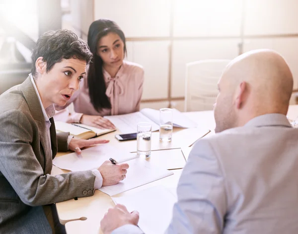 Businesswoman explaing her execution plan to two professional colleagues — Stock Photo, Image