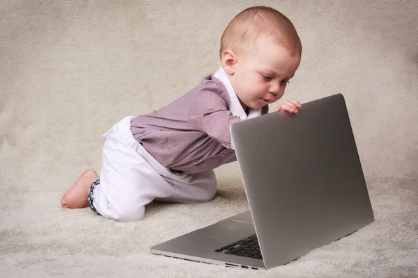 bebê menina pessoa jogo aprenda estudar notebook computador