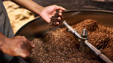 quality control of roasted coffee beans in african mans hands clipart