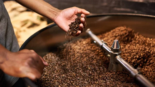 Control de calidad de granos de café tostados en manos de hombres africanos — Foto de Stock