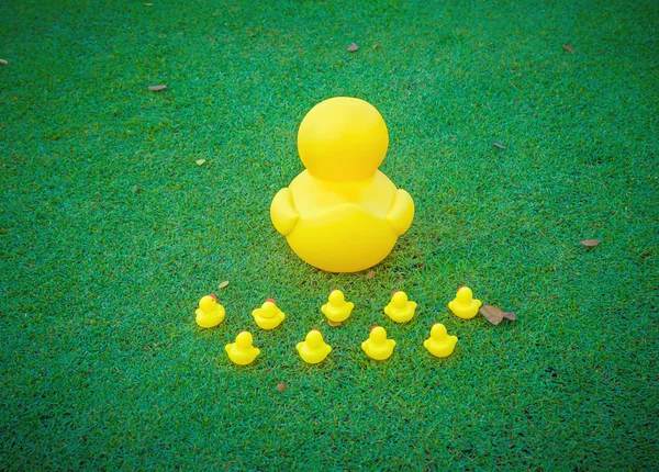 Leadership concept , Big yellow duck leading group . — Stock Photo, Image