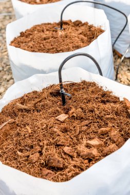 Beyaz plastik torba sistemi sulama boru ile toprakta