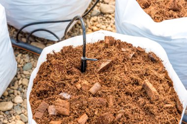 Beyaz plastik torba sistemi sulama boru ile toprakta