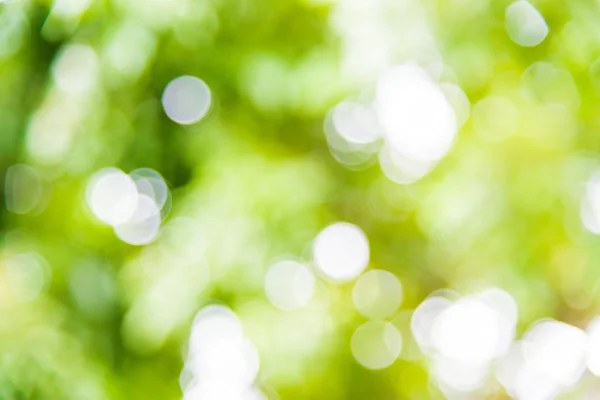 Schöne Bokeh des Lichts durch unten vom Baum — Stockfoto