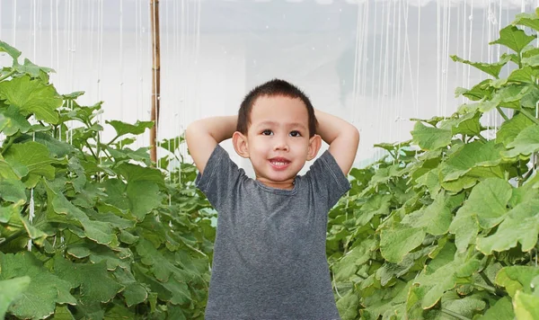 Thai baby boy sonriendo en la granja de melones — Foto de Stock