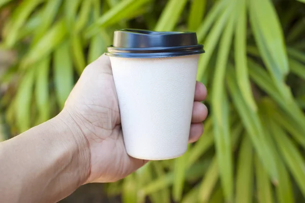 Hand holding paper coffee cup with green nature — Stock Photo, Image