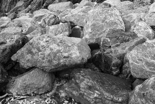 Sea rocks. Black and white photo
