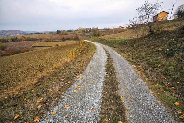 Camino en el campo de Langhe. Imagen en color — Foto de Stock