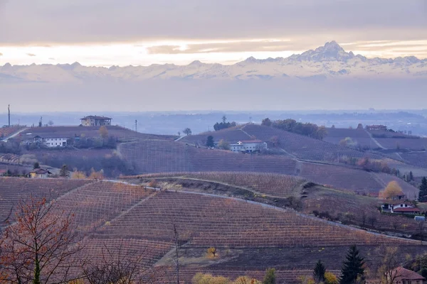 Langhe sonbahar görünümü. Renkli görüntü