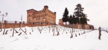 GRINZANE CAVOUR, ITALY - FEBRUARY 28, 2018: winter wide view of the Grinzane Castle from the surrounding vineyards, in the hilly region of Langhe (in the southern area of Piemonte Region, Northern Italy), world famous for its valuable wines. clipart