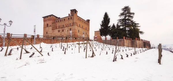 Grinzane Cavour Italie Février 2018 Vue Hiver Sur Château Grinzane Image En Vente