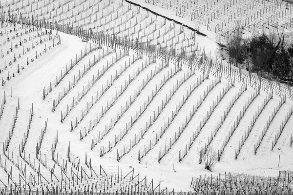 北イタリア ピエモンテの南部 にランゲの丘陵地域の雪に覆われたぶどう畑の幾何学的表示 その貴重なワイン ランゲ ロエロとモンフェラートのブドウ畑の丘陵地域で有名な世界はすべてユネスコのサイト — ストック写真