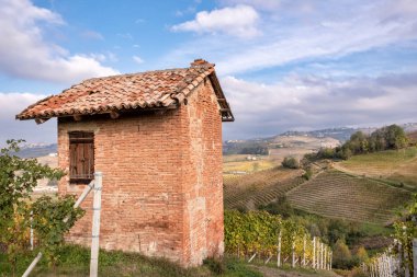Sonbahar sezonu boyunca Langhe (Piedmont, Kuzey İtalya) yamacındaki dünyaca ünlü Barolo üzüm bağlarının manzarası; bu alan 2014 yılından bu yana Unesco sitesine aday gösterilmiştir..