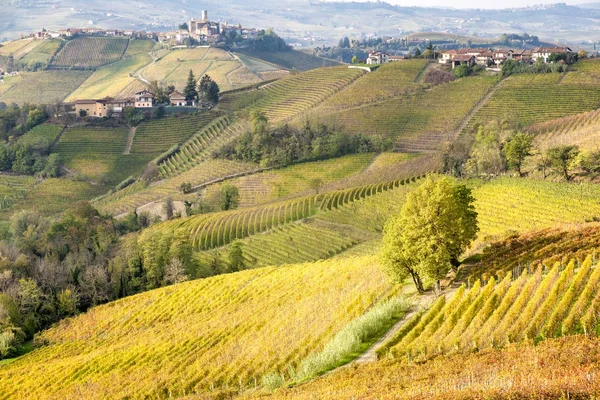 View World Famous Barolo Vineyards Hilly Region Langhe Piedmont Northern — Stock Photo, Image