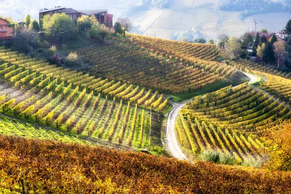 View World Famous Barolo Vineyards Hilly Region Langhe Piedmont Northern — Stock Photo, Image