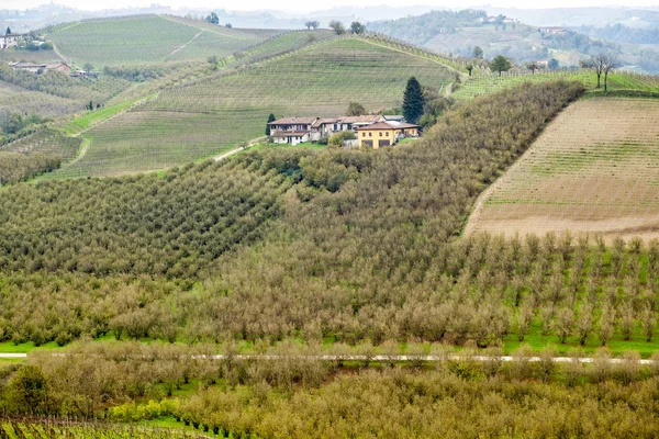 Vista Das Vinhas Mundialmente Famosas Barolo Região Montanhosa Langhe Piemonte — Fotografia de Stock