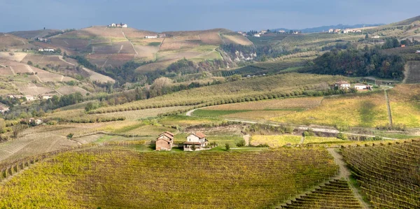 View World Famous Barolo Vineyards Hilly Region Langhe Piedmont Northern — Stock Photo, Image