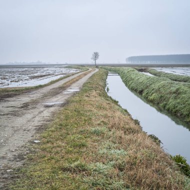 Lomellina kırsalında (Lombardy ve Piedmont arasında, Kuzey İtalya) pirinç tarlaları için kullanılan yapay bir su kanalı..